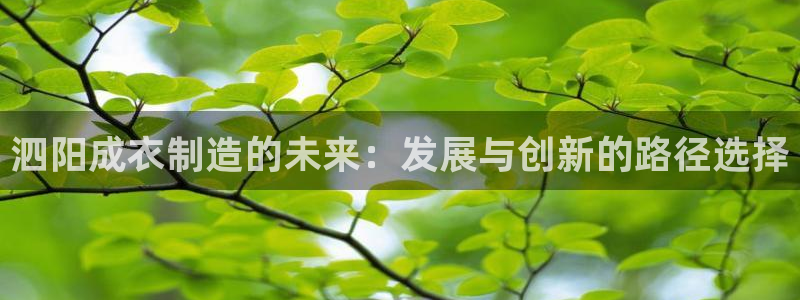 pg电子免费单机游戏