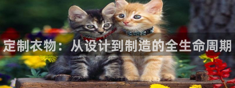 pg电子违法吗