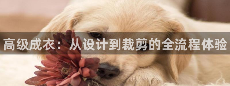 pg电子是谁开发的