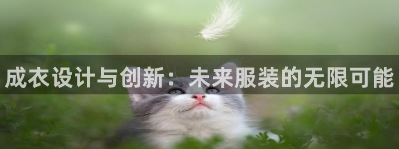 pg电子游艺哪个好