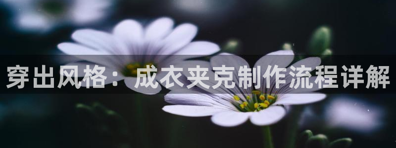 pg电子app