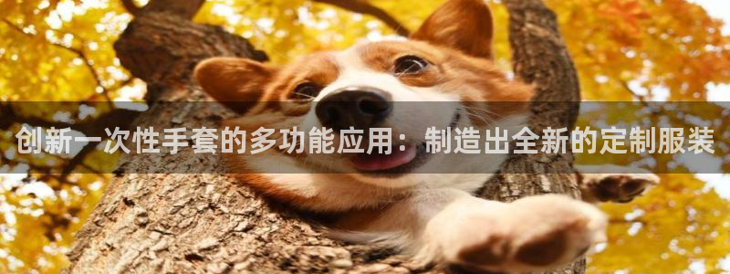 网赌pg电子游戏害人
