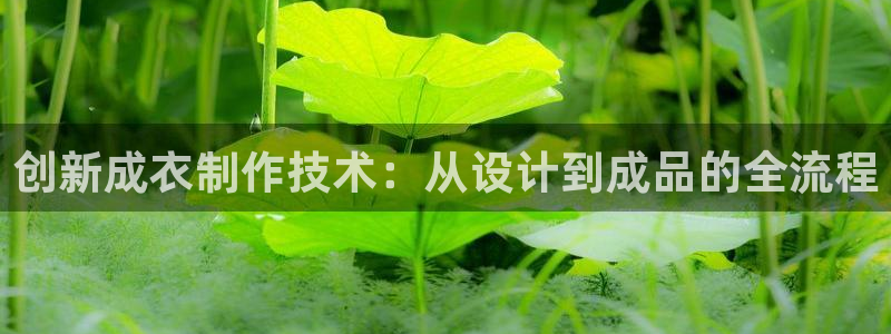 Pg电子卡活动