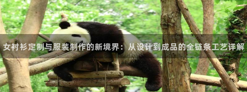 pg电子游戏黄金城