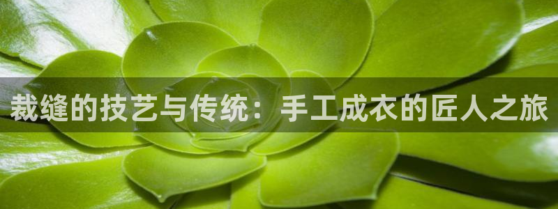pg电子免费试玩网站