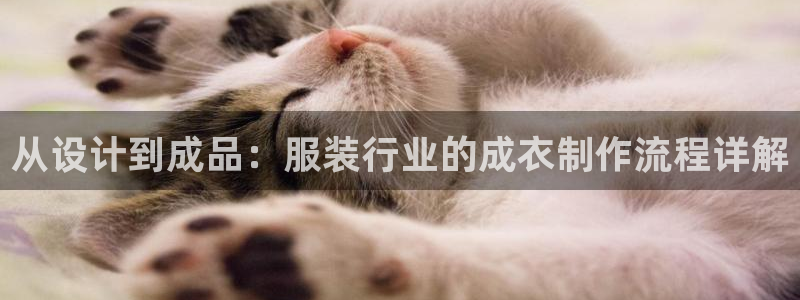 pg电子游戏封面图片