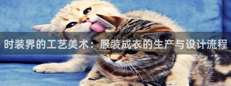 pg电子水果派对
