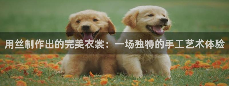 pg电子买免费旋转