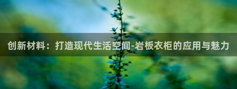 pg电子视频麻将胡了2