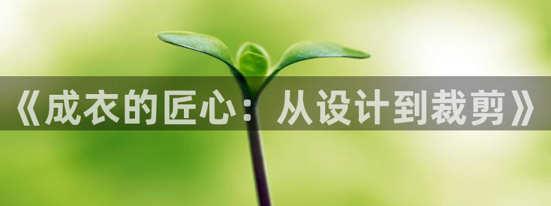 pg电子有吐分期吗