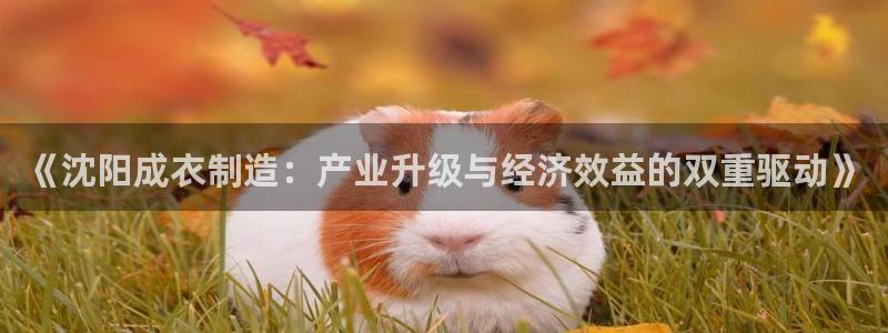 pg电子平台体验版