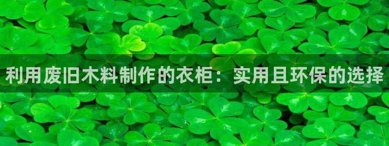 pg电子白天玩还是晚上