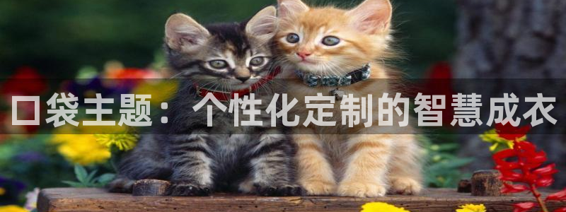 网页打不开Pg电子游戏