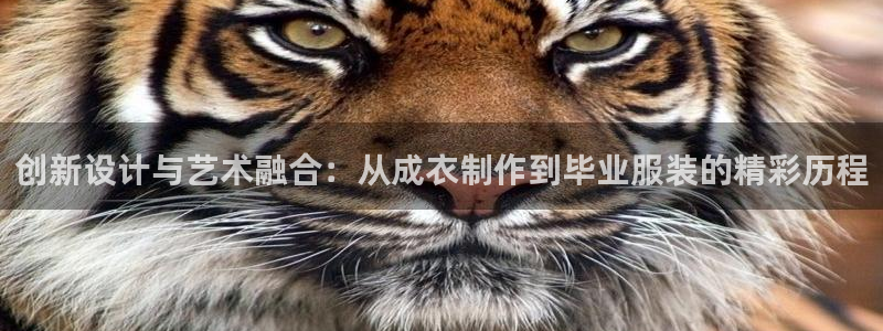 十年安全老品牌pg电子