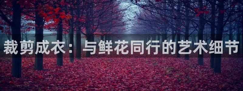 pg电子免费体验网址