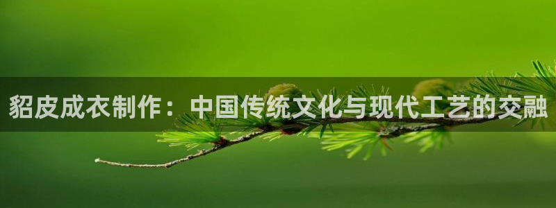 电子PG大奖视频