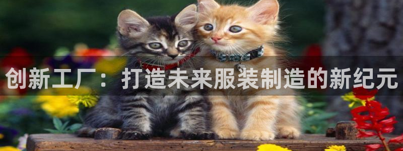 澳门电子pg游戏官网