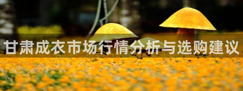 pg电子推荐下载