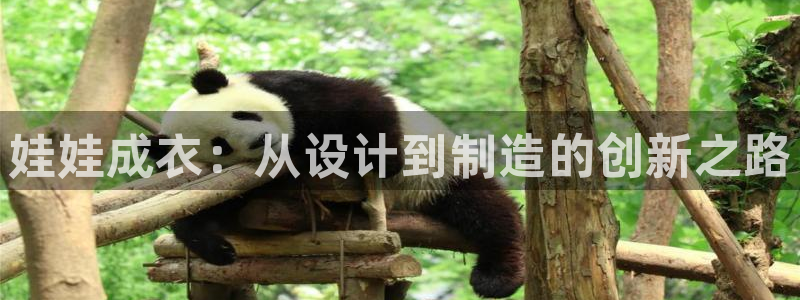 pg电子最高爆分视频