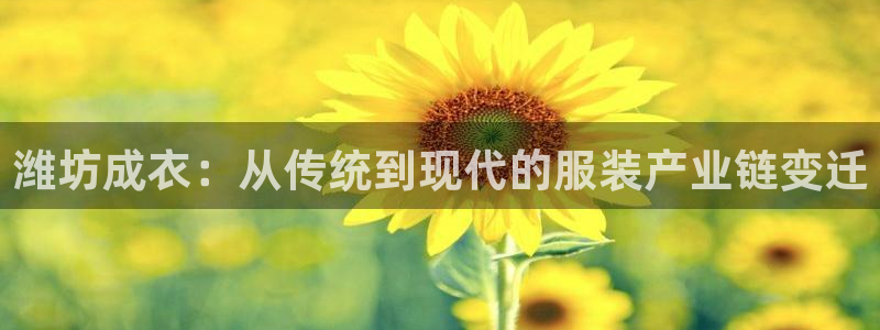 pg电子棋牌app大全