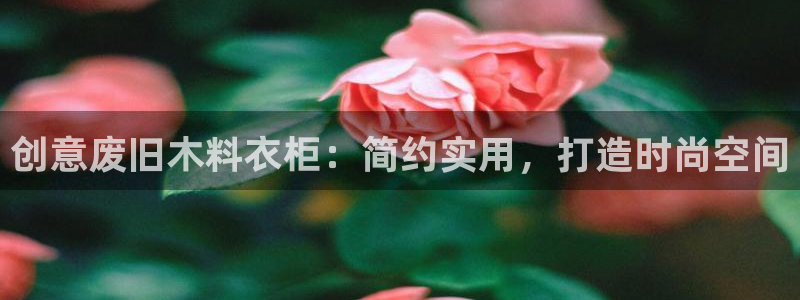 pg电子美洲野牛视频