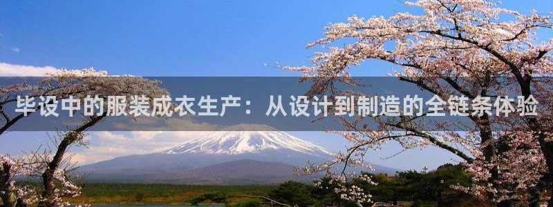 pg电子游戏哪里玩好爆