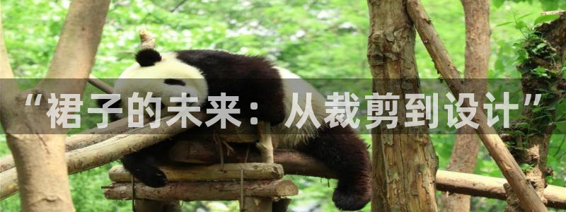 最火pg电子软件