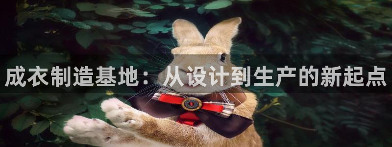 pg电子官方网址