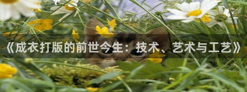 pg电子什么游戏好打