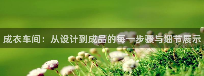 试玩pg电子y后之谜