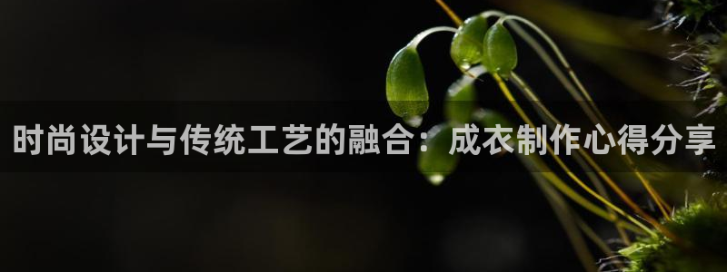 pg电子平台不凡成就非凡