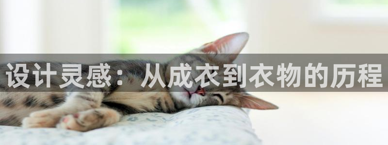 pg电子试玩app