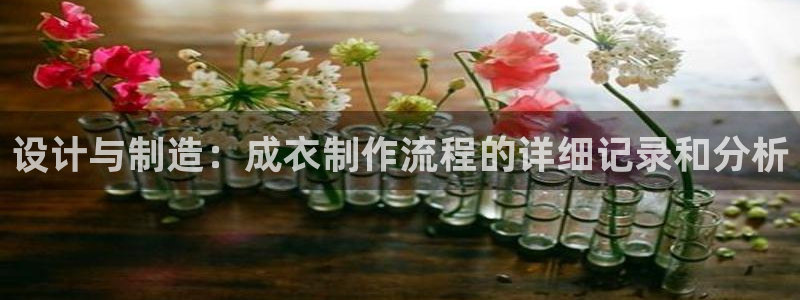 pg电子嘉年华暴分视频