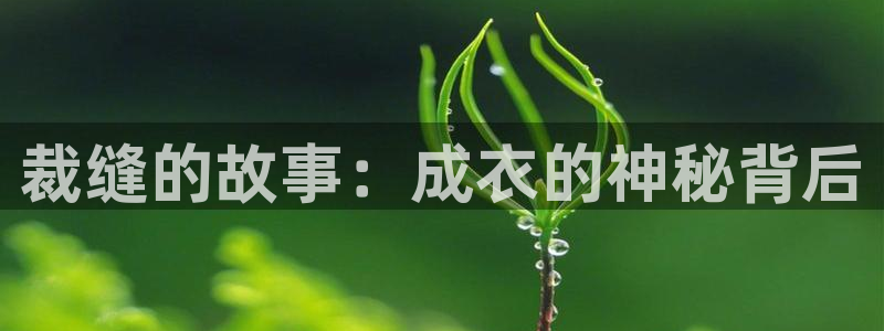 pg电子体育下载