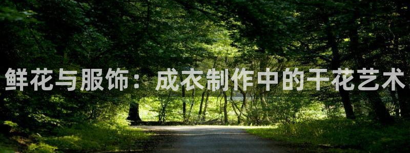 PG报丧说明书电子版