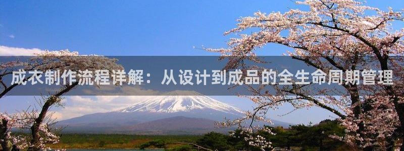 pg电子辅助软件下载