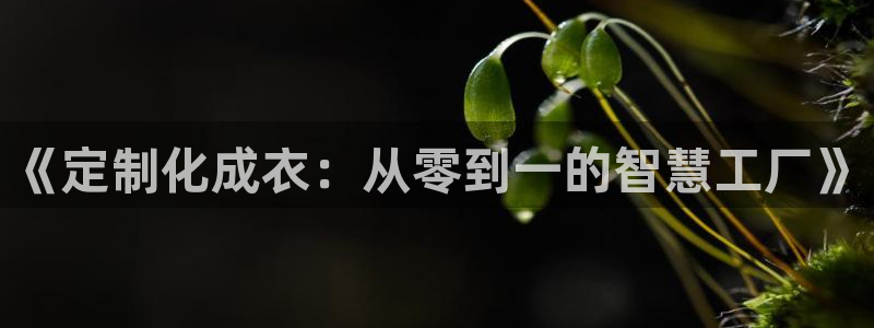 PG电子平台网址是多少