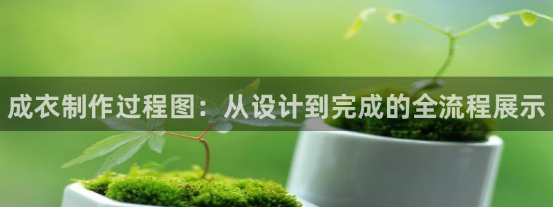 pg电子十倍金牛技巧