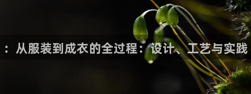 pg电子艳后之谜是什么