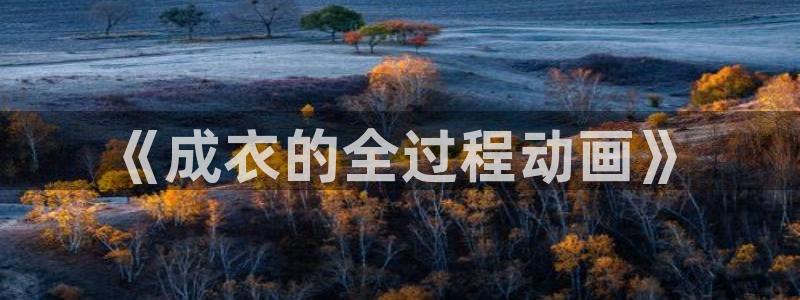 pg雪崩 电子说明书