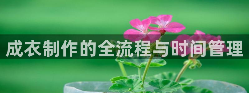 pg电子游戏爆分锦集